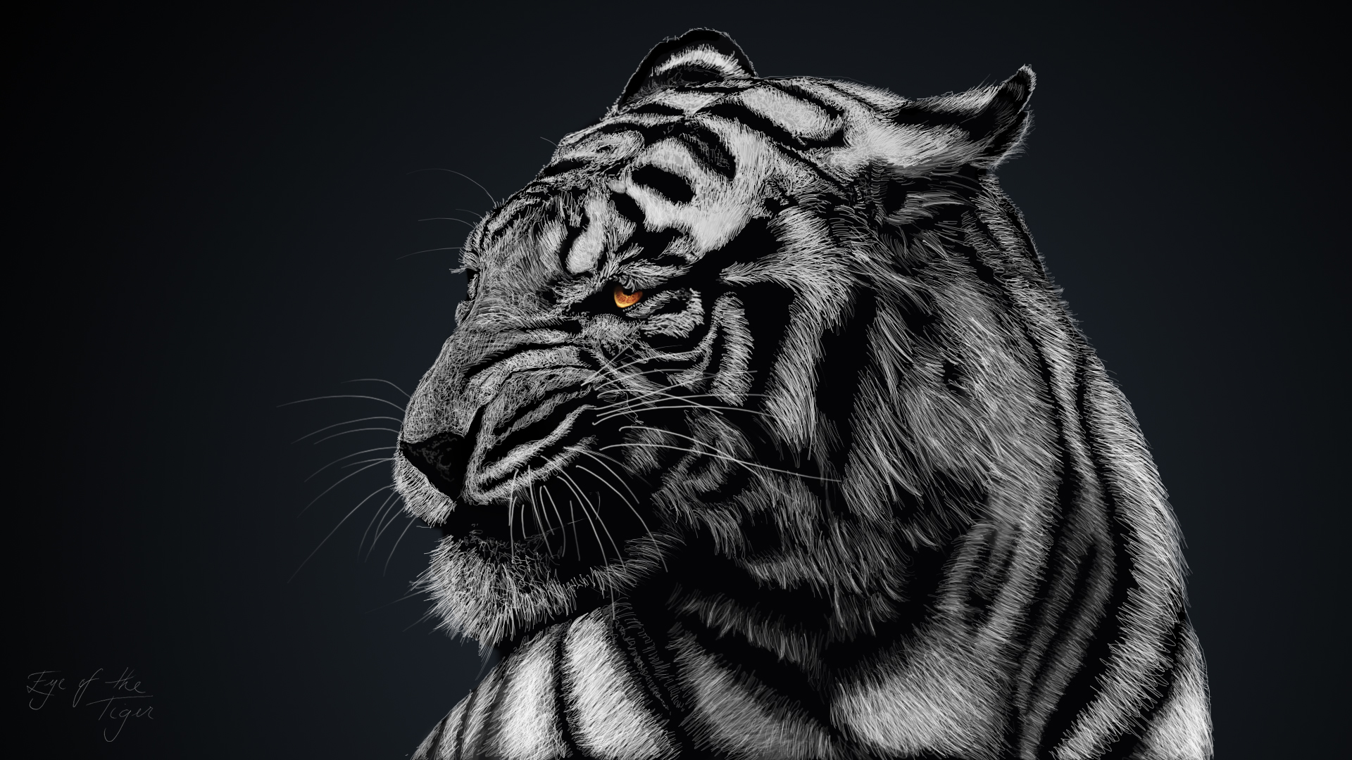 Tiger Artwork HD693636362 - Tiger Artwork HD - Tiger, Leopard, Artwork
